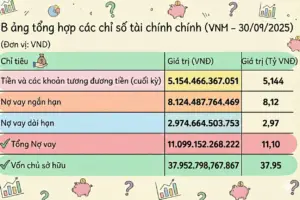 Người mới đọc báo cáo tài chính: Nên bắt đầu từ đâu cho đỡ “lạc”?
