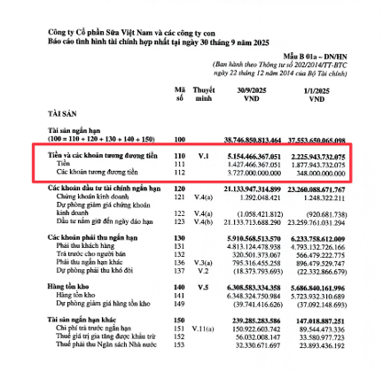Tien tuong duong tien - 251031_VHM_3Q2025_Earnings Presentation__vF