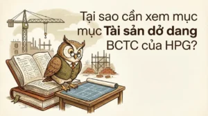 Tại sao cần xem mục Tài sản dở dang trong BCTC của HPG?