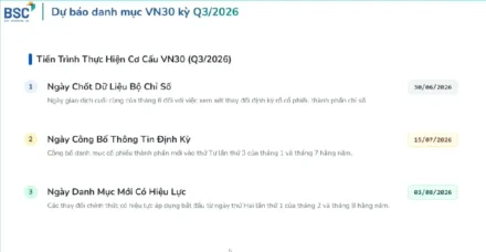 Tái Cơ Cấu VN30 Q3/2026: MCH và TCX Vào Rổ — TPB, PLX Đứng Trước Nguy Cơ Bị Loại