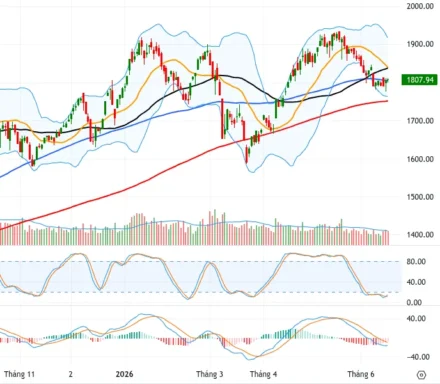 FTSE Russell Nâng Hạng Việt Nam 21/9/2026: 1,7 Tỷ USD Dòng Vốn Tìm Đến 26 Cổ Phiếu VN30 Nào?