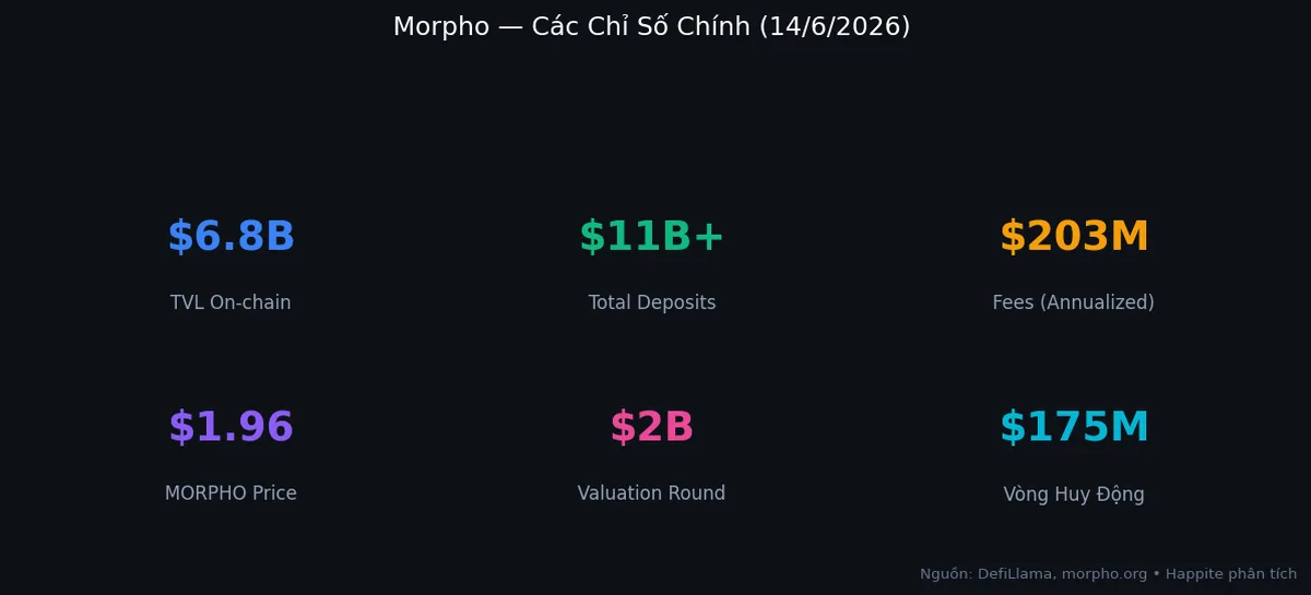Các chỉ số chính của Morpho Protocol tháng 6 2026