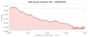 TCB Trả Cổ Tức Ngày 10/6: Nhận 700 Đồng/Cổ, Còn 60% Cổ Phiếu Thưởng Là Gì?