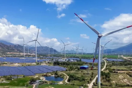 Ngành Điện Việt Nam 2026: Ai Dẫn Đầu, REE Ở Đâu?