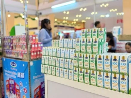 Vinamilk Lãi Kỷ Lục Quý 2/2026: Vì Sao Bứt Phá 28%?