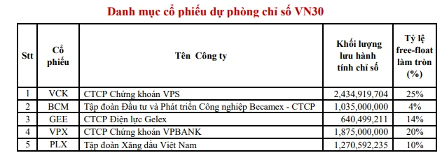 Danh mục cổ phiếu dự phòng chỉ số VN30 kỳ 7/2026: VCK, BCM, GEE, VPX, PLX - nguồn HOSE