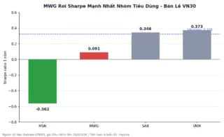 Beta, Sharpe Tiêu Dùng VN30: MWG Lãi Kỷ Lục Vẫn Rớt Sharpe