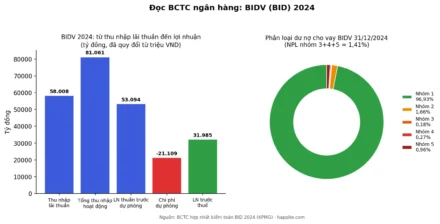 Đọc BCTC ngân hàng khác gì doanh nghiệp thường? (NIM, NPL, CAR)