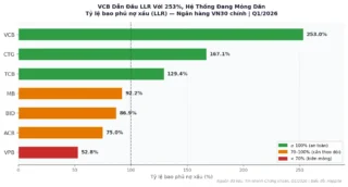 Ngân Hàng Lãi Kỷ Lục Mà “Tấm Đệm” Bốc Hơi: Cơ Chế Dự Phòng Nợ Xấu Bạn Cần Biết