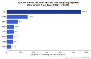 FTSE Nâng Hạng: 1,5 Tỷ USD Sẽ Đổ Vào Cổ Phiếu Nào?