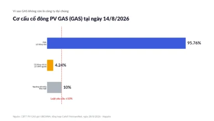 PV GAS (GAS) Mất Tư Cách Công Ty Đại Chúng: Nhà Đầu Tư VN30 Cần Biết Gì?
