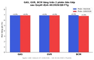 Quyết Định 40/2026: Vì Sao GAS, GVR, BCM Tăng Trần 2 Phiên Liền?