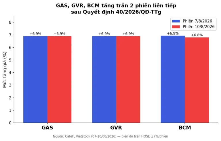 Quyết Định 40/2026: Vì Sao GAS, GVR, BCM Tăng Trần 2 Phiên Liền?