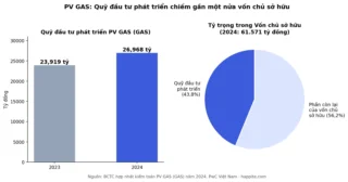 Quỹ đầu tư phát triển là gì? Đọc đúng dòng trên BCTC