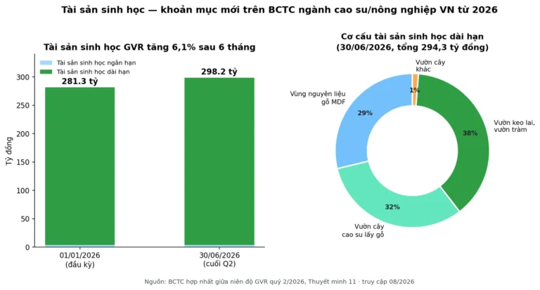 Tài Sản Sinh Học Là Gì? Khoản Mục Mới Trên BCTC Cao Su, Nông Nghiệp Từ 2026