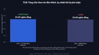 TCB Quay Đầu Giảm Sau Khi BNP Paribas Bác Tin Mua 15% Cổ Phần