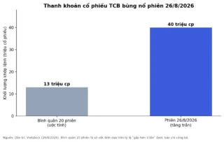 TCB Tăng Trần: Techcombank Sắp Bán 15% Cổ Phần Giá 2 Tỷ USD?