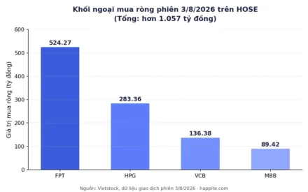 VN30 rổ mới ngày 3/8: MCH, TCX ra mắt, dòng tiền ngoại trở lại
