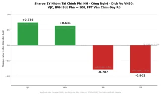 Beta, Sharpe VN30: VJC Bứt Phá Top 5, FPT Vẫn Đáy Rổ