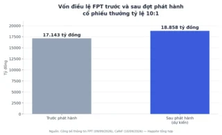FPT phát hành cổ phiếu thưởng 10:1: Điều cần biết