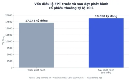 FPT phát hành cổ phiếu thưởng 10:1: Điều cần biết