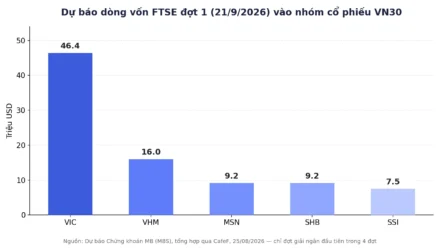FTSE Chốt Danh Mục 27 Mã: VN30 Đón Bao Nhiêu Tỷ USD?