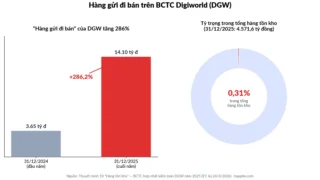 Hàng gửi đi bán là gì? Vì sao đại lý giữ hàng mà DGW vẫn tính là của mình