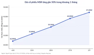MSR Tăng Gần 50% Trong 1 Tháng: Cổ Phiếu Vonfram Đang “Nuôi” Cả Masan?