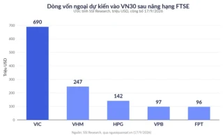 Nâng Hạng Xong, VN-Index Vẫn Đỏ: Vì Sao Vingroup Bị Bán Mạnh Ngày 21/9?