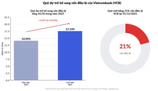 Quỹ dự trữ bổ sung vốn điều lệ ngân hàng là gì? Vì sao doanh nghiệp thường không có