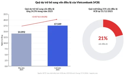 Quỹ dự trữ bổ sung vốn điều lệ ngân hàng là gì? Vì sao doanh nghiệp thường không có