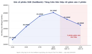SSB Giảm Sàn 2 Phiên: Trùng Hợp Với Lãnh Đạo Bán Cổ Phiếu?