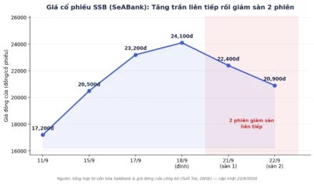 SSB Giảm Sàn 2 Phiên: Trùng Hợp Với Lãnh Đạo Bán Cổ Phiếu?