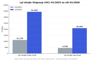 VIC Lãi 12.542 Tỷ Từ VinFast: Nhà Đầu Tư Cần Hiểu Gì?