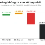 Báo cáo bộ phận là gì? Đọc thuyết minh BCTC Hòa Phát