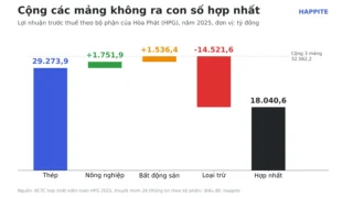 Báo cáo bộ phận là gì? Đọc thuyết minh BCTC Hòa Phát