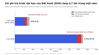 Chi phí hỗ trợ lãi suất là gì? Đọc BCTC Đất Xanh 2025