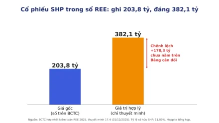 Đầu tư góp vốn vào đơn vị khác là gì? Đọc BCTC thế nào