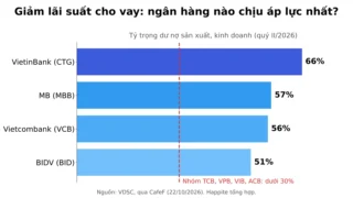 NHNN Giảm Lãi Suất: Ngân Hàng VN30 Nào Chịu Áp Lực NIM?
