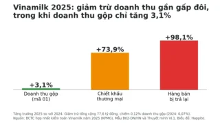 Các khoản giảm trừ doanh thu là gì? Đọc BCTC Vinamilk 2025