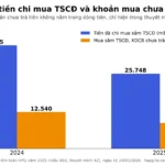 Giao dịch không bằng tiền là gì? Đọc qua BCTC Hòa Phát