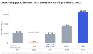 Lãi Tăng 230% Có Phải Tin Vui? Hiệu Ứng Nền Thấp