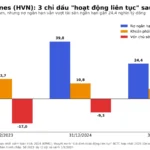 Hoạt động liên tục là gì? Đọc qua BCTC Vietnam Airlines