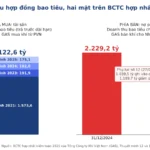 Hợp đồng bao tiêu (take-or-pay) là gì? Đọc qua BCTC GAS 2025