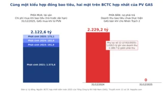 Hợp đồng bao tiêu (take-or-pay) là gì? Đọc qua BCTC GAS 2025