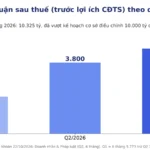 Lợi Nhuận Masan 9 Tháng 2026: Vượt Kế Hoạch Cả Năm