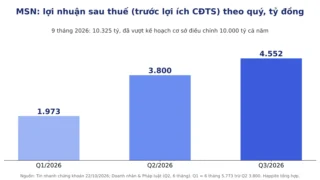 Lợi Nhuận Masan 9 Tháng 2026: Vượt Kế Hoạch Cả Năm