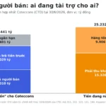 Phải trả người bán là gì? Cách đọc qua BCTC Coteccons