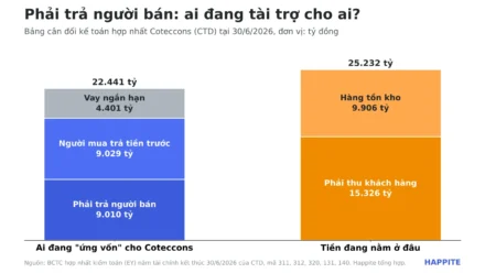 Phải trả người bán là gì? Cách đọc qua BCTC Coteccons