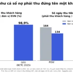Rủi ro tập trung khách hàng là gì? Đọc qua BCTC ngành điện